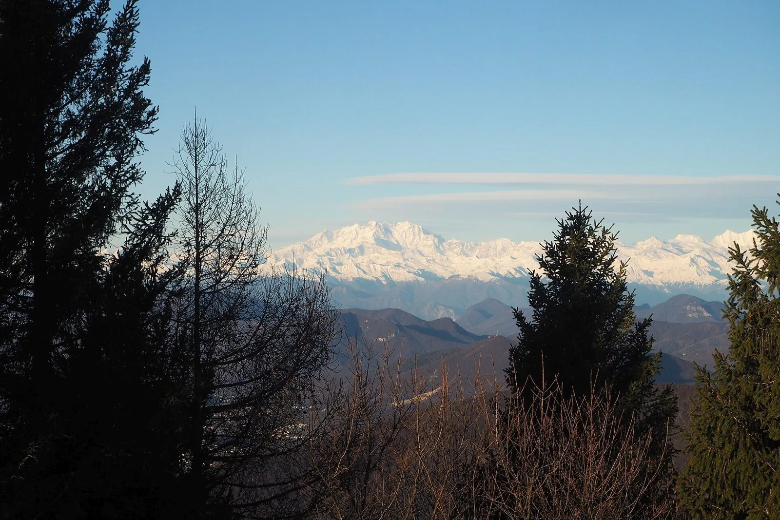Il massiccio del Monte Rosa innevato visto dai boschi del Monte Bisbino sopra il Lago di Como in inverno